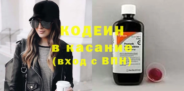 твердый Бородино