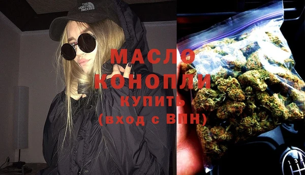 твердый Бородино