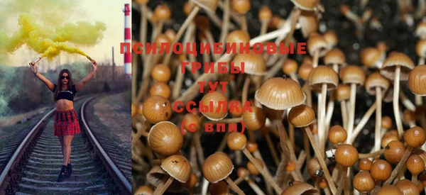 твердый Бородино